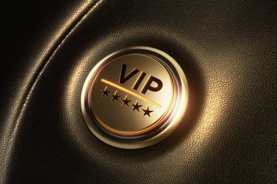 transport taxi driver VIP service Brussels